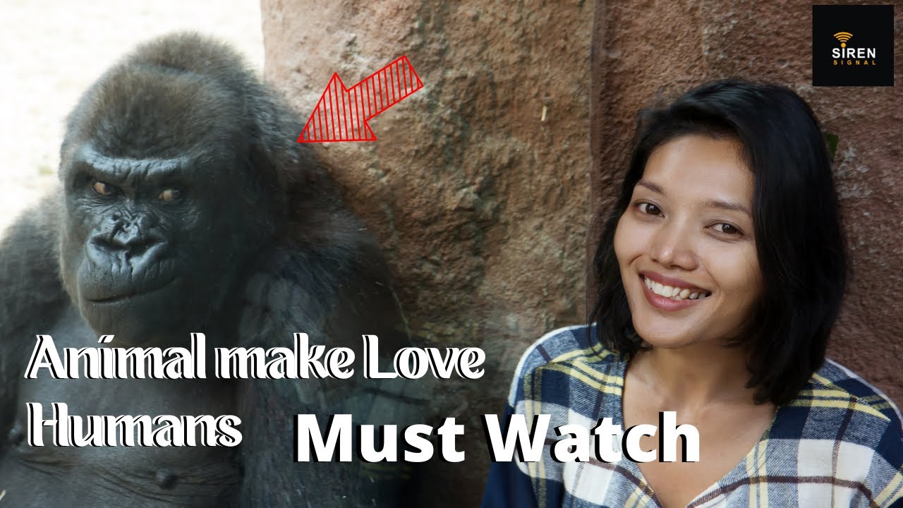 Monkey Love | Cute animals, Animals Make love With Humans - Beautifull videos Must Watch