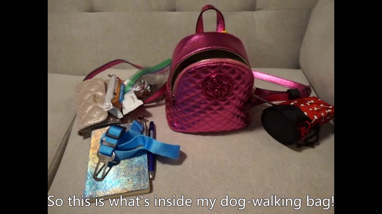 What is in my DogWalking Bag? YouTube