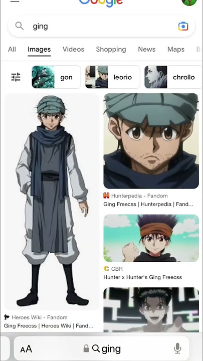 Ging Freecss, Heroes Wiki