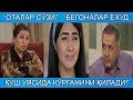 "Оталар сўзи": "Бегоналар ёхуд қуш уясида кўрганини қилади!" Ҳаётий воқеа асосида