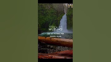 إنّ الحسنات يُذهبن السيئات #تلاوةخاشعة #قرآن_كريم