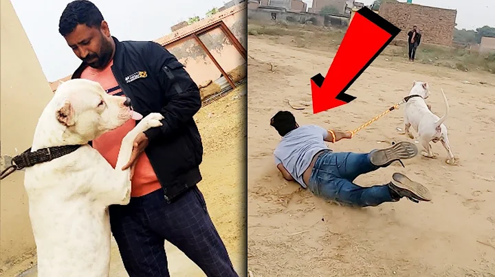 Hunter ne mujhe khich liya abki baar