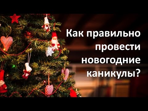 Как провести новогодние каникулы "человеку разумному"?