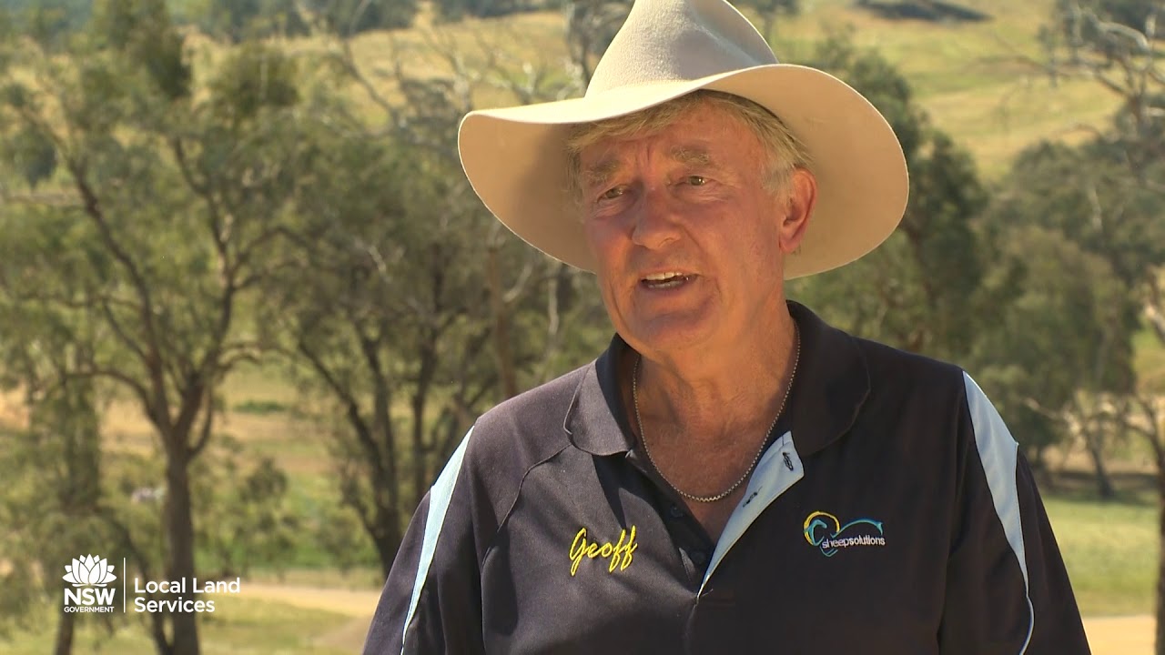 Lessons from the Drought: Containment feeding