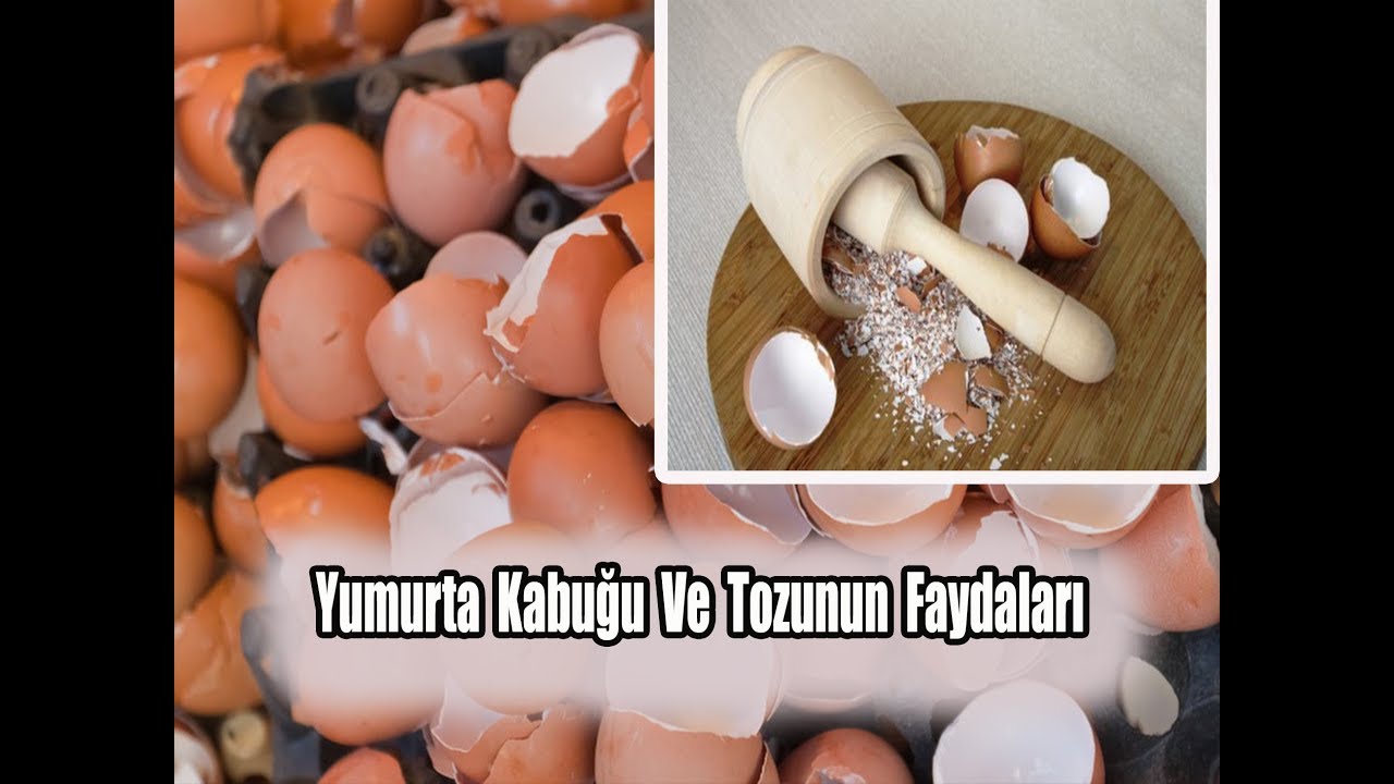 Köy yumurtasının faydaları Köy yumurtasının faydaları