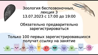 картинка: Продолжение систематики беспозвоночных. Лекция 3