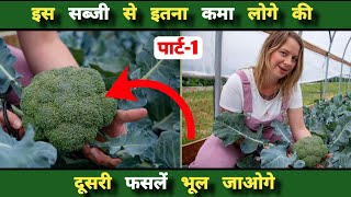 ब्रोकली की खेती (पार्ट-1) l Broccoli Farming l ब्रोकली की खेती कैसे करें l BAAGVANI