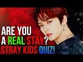 stray kids quiz that only REAL STAYS can answer