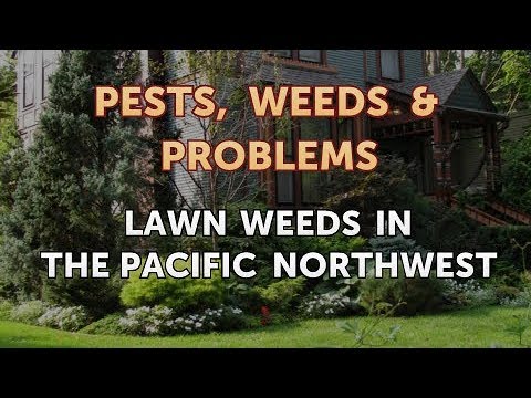 Video: Northwestern Garden Pests: control de plagas en el noroeste del Pacífico