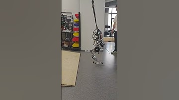 Adapting Humanoid Locomotion :  slope 2