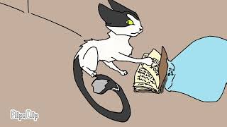 ‘Be prepared for the unexpected!’ Cat Mysteries S2 Episode 4
