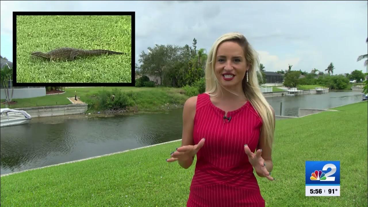 Nile monitor lizards seen roaming around Cape Coral neighborhoods YouTube