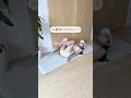 世界一簡単?! 超ラクお腹痩せ #腹筋 #宅トレ #ダイエット #簡単トレ #お腹痩せ