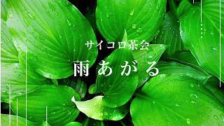 サイコロ茶会 | 雨あがる【画面の向こう側】