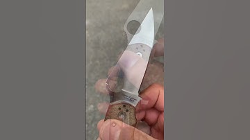 Spyderco paramilitary 2