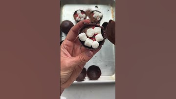 How to make hot cocoa bombs | FeelGoodFoodie