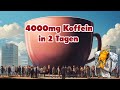 Dezember Recap Part 3 - Koffein und Zucker werden neigeschürt
