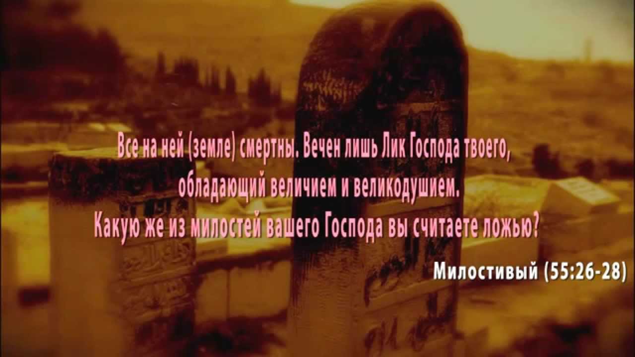 Мухаммад Абу Усама - Смерть