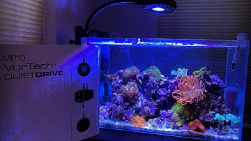 Nano Reef Tank | VorTech MP 10 - Install and Operation