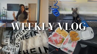 bathing my dogs, shein haul, trying raisin canes // sunday vlog