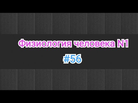 Физиология. 56 тема. Противосвертывающая система кровы.