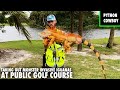 Hired To Take Out Monster Invasive Iguanas At Public Golf Course