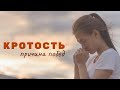 Кротость - Причина побед / Владимир Мунтян / 5 минут для Бога