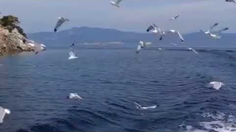 أواخر سوره البقره تطرد شيطان من البيت بإذن الله