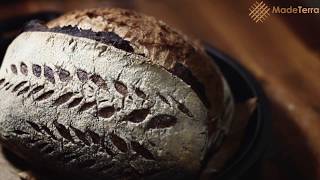 Sourdough Tips: How to Shape High Hydration Dough for Same-day Bake