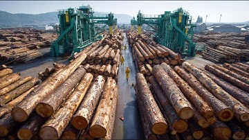Amazing Timber Production Line: Logging, Transportation, and Sawmill Processing Step by Step