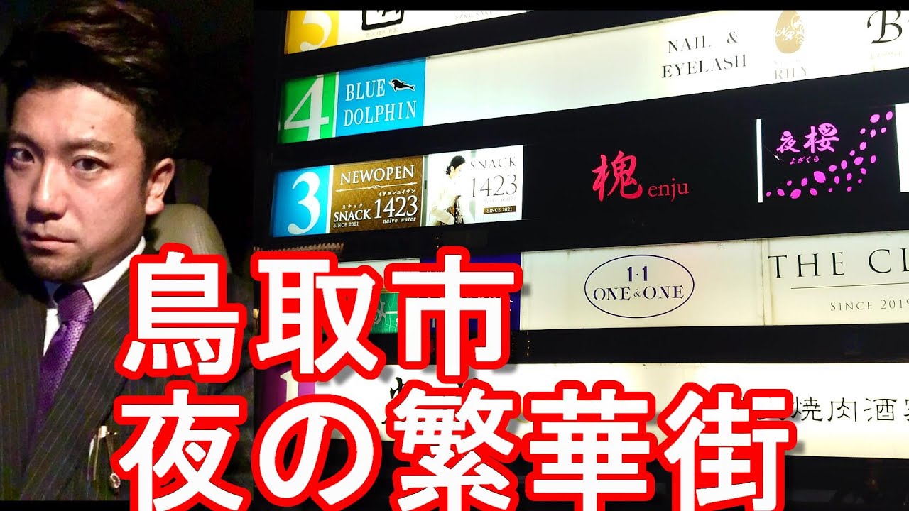 【人口18万6千人】鳥取市-鳥取駅付近-夜の繁華街(市街地)中心街を散策Walking in the city center,Tottori city, Japan