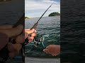 近所の堤防で短時間エギング🦑 #shorts #エギング #fishing