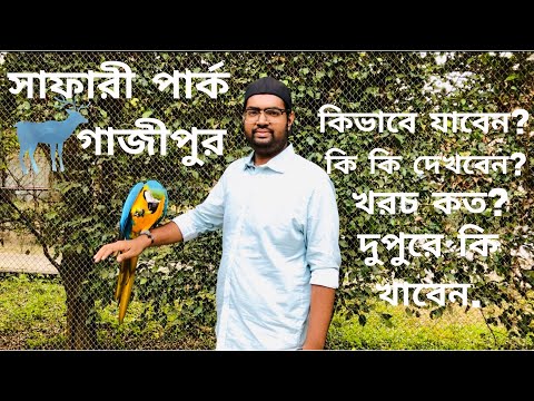 ভিডিও: কীভাবে গর্কি পার্কে যাবেন