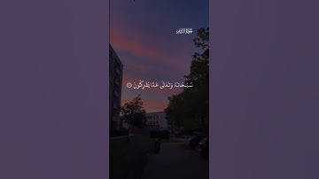 سورة الروم /ياسر الدوسري #تلاوة_خاشعة #اكسبلور #راحة_نفسية #ياسر_الدوسري #سورة_الروم #قرآن #القرآن