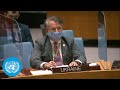 Security Council on Ukraine | United Nations (31 Jan 2022)