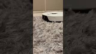 Roborock S8 on a carpet 👍 #roborockS8 #carpet #vacuumcleaner #robobg