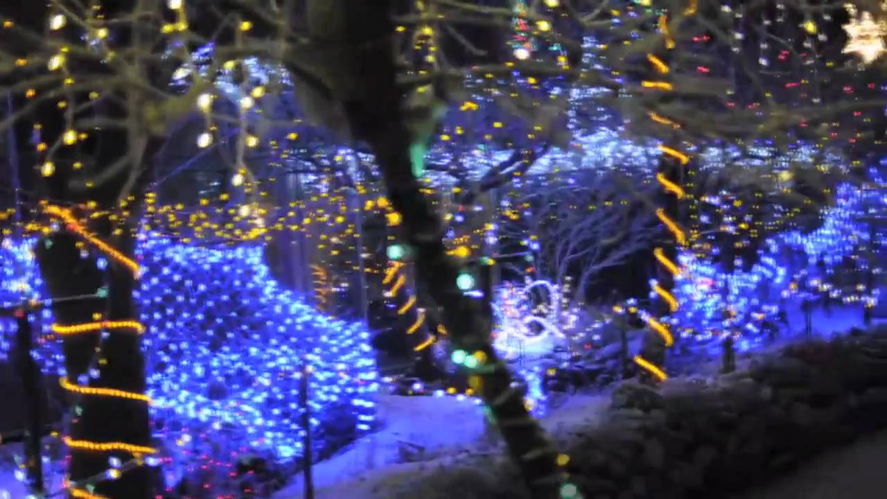 kvarter meget fint tæerne Julelys i Morbaerlunden - Esbjerg, 2010 - YouTube