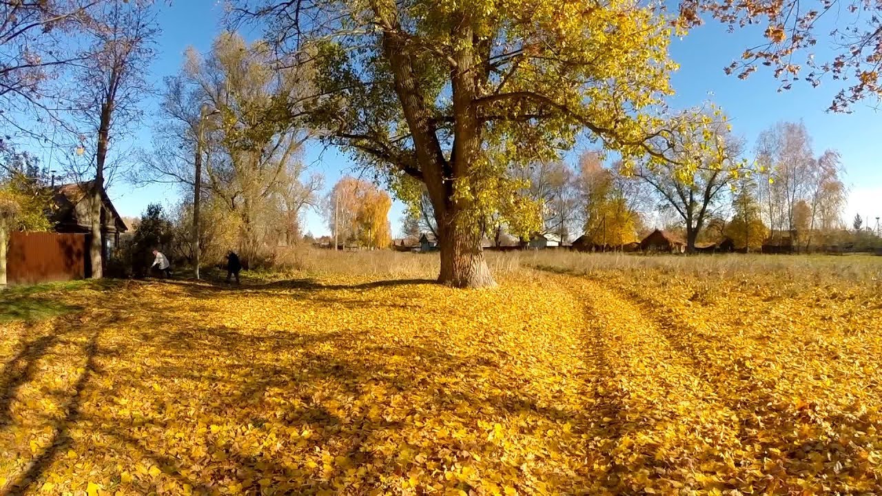 Осенью 2018 года