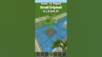 Small Dripleaf ILLEGAL Formations!! :D #shorts #minecraft #minecraftglitches #minecraftshorts #fyp