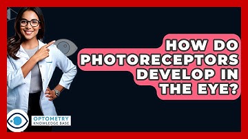 How Do Photoreceptors Develop In The Eye? - Optometry Knowledge Base