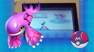 LIVE Shiny Kyogre on Pokemon Sapphire After 7646 Soft Resets