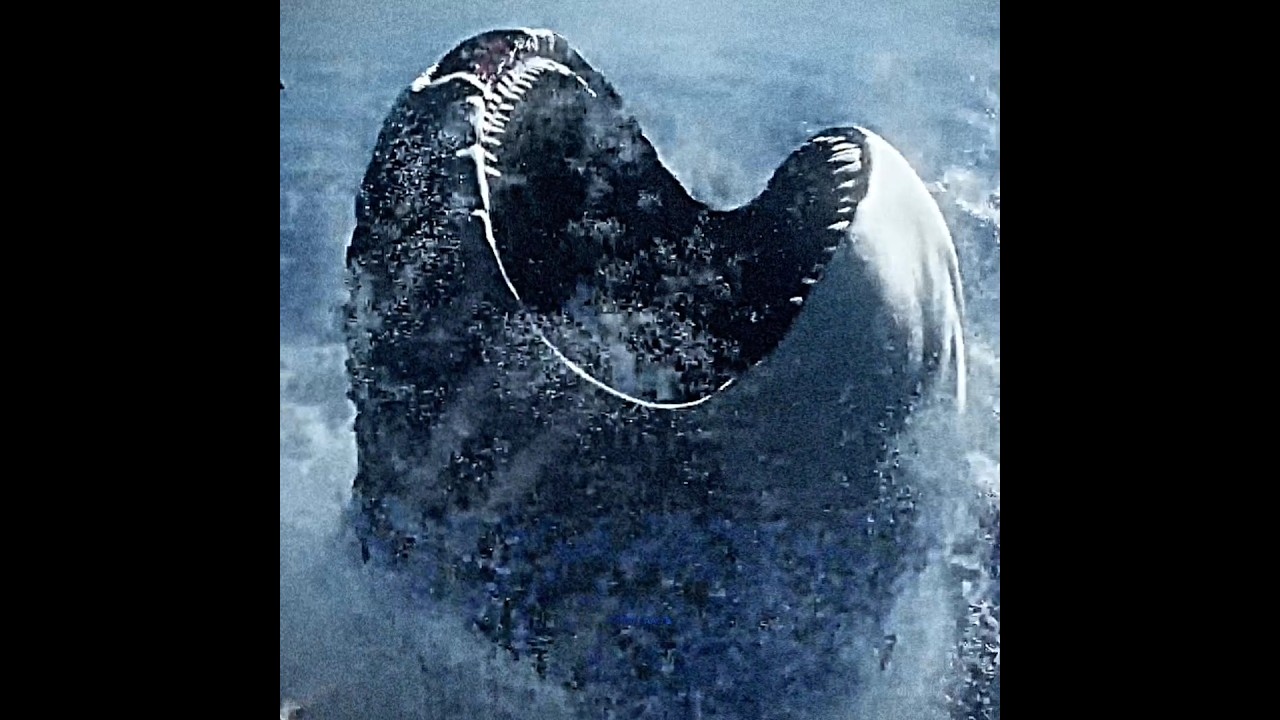 Bloop vs El Gran Maja edit | 