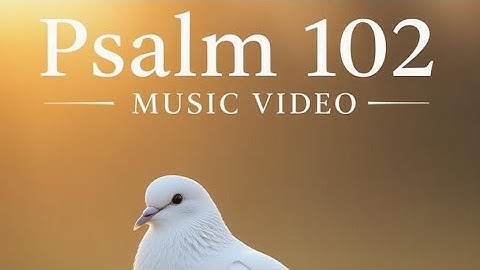 Psalm 102 (Official Music Video) 
