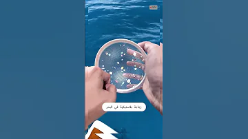 تخي ل أن ترمي زجاجة بلاستيكية في البحر 
