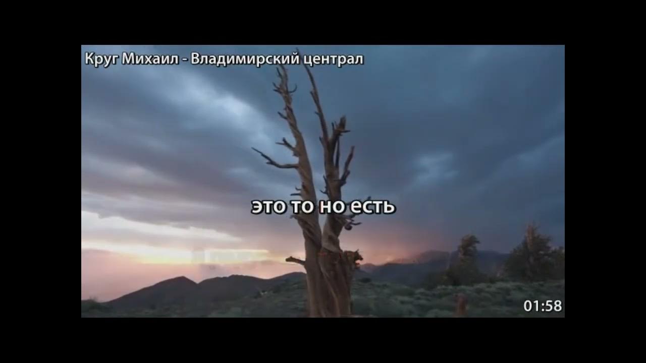 Круг владимирский централ караоке. Петь караоке владимирский. Круг владимирский централ караоке. Караоке я живу тобой. Петь караоке владимирский.