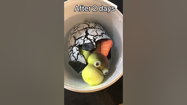 Dinosaur egg hatching in water #shorts