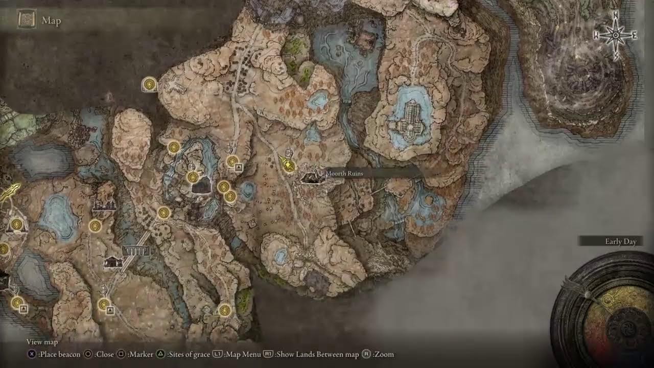 Elden ring- King PLUTO