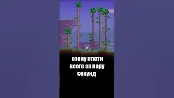Как Спидраннер прошел Террарию за 1 минуту! | Terraria 1.4.4 #terraria #террария
