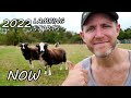 The MOST Important Time in Sheep Farming | Farming Four Seasons -  Autumn (Day 8)