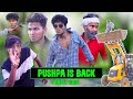 Pushpa is back  the comedy kingdom